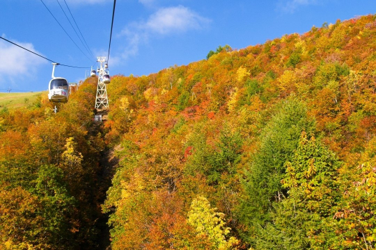 10月はゴンドラから紅葉が見れる可能性が。
