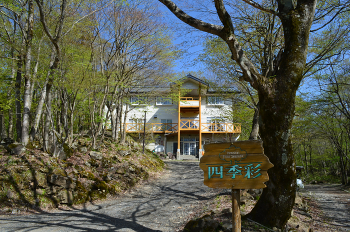 広葉樹に囲まれた森の中のリゾートペンション