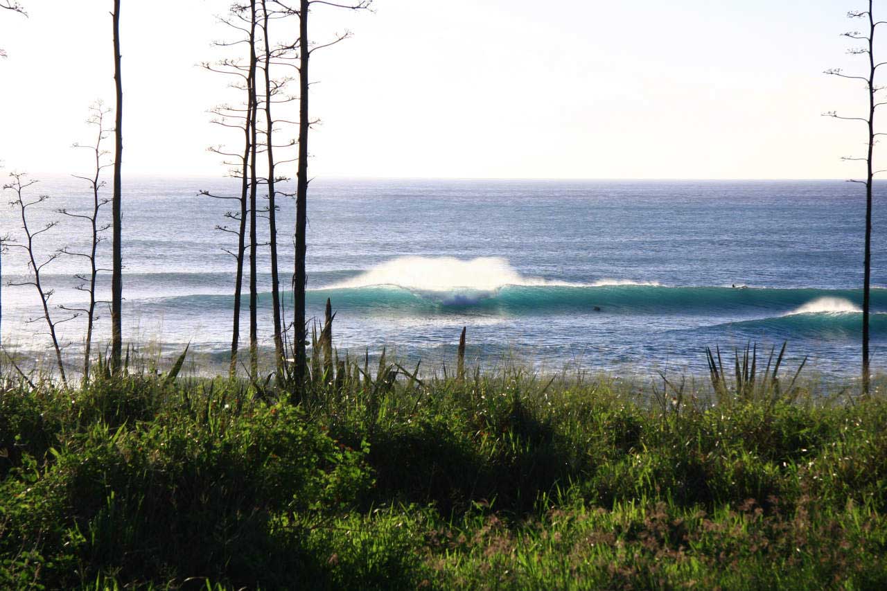 Surf’s Up 東台湾情報 2015年11月23日