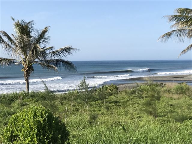 プロボディボーダー大原沙莉