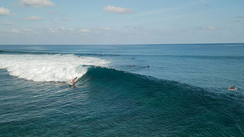 Sasurai Surf TV KANAN